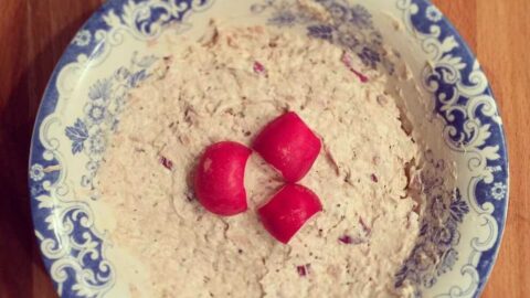 Thunfisch Dip