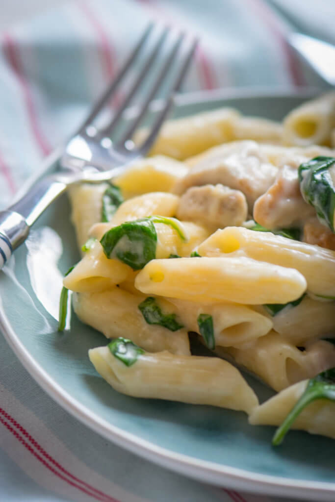 Knobi Spinat Pasta mit Putenstreifen