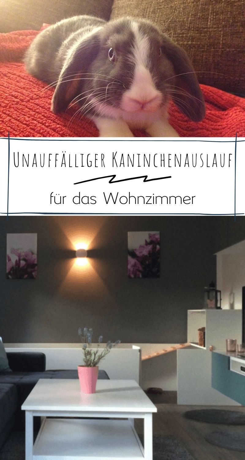 Kaninchenstall selber bauen Bauanleitung für die Wohnung