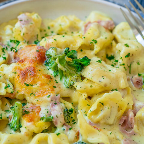Tortellini Auflauf in Sahnesoße: Schnell und lecker