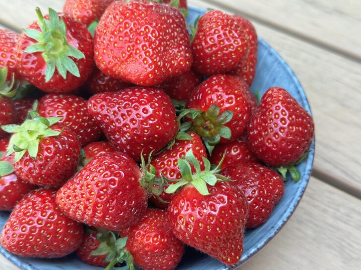 Erdbeeren richtig lagern – so bleiben deine Erdbeeren länger frisch & geniale Rezeptideen