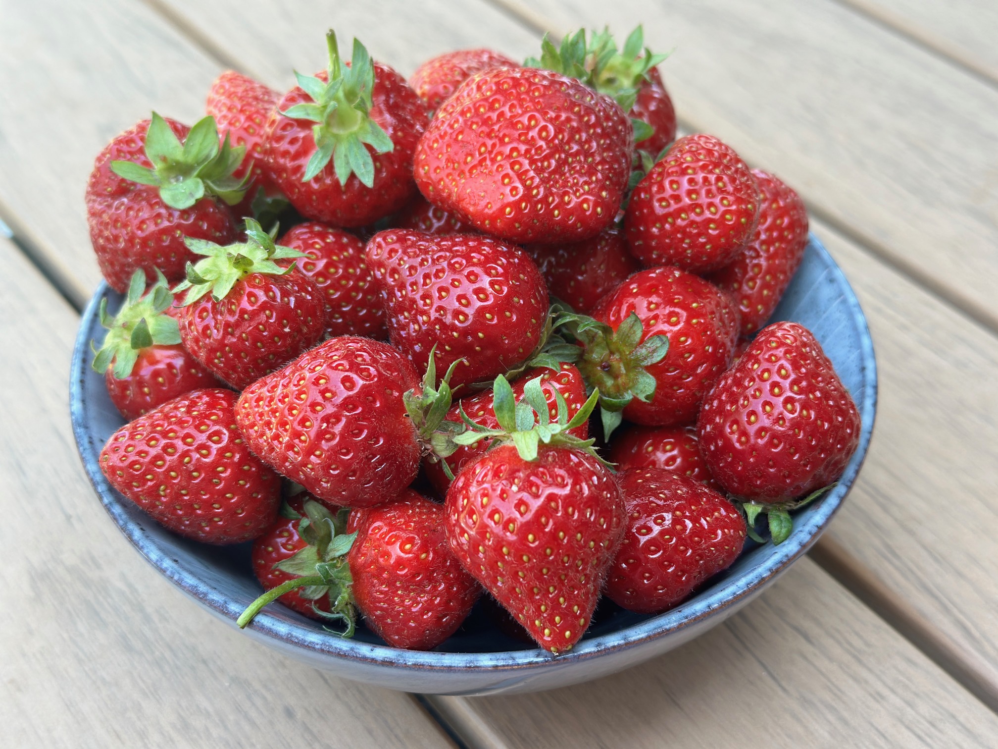 Erdbeeren - frisch und aromatisch - so solltest du sie lagern