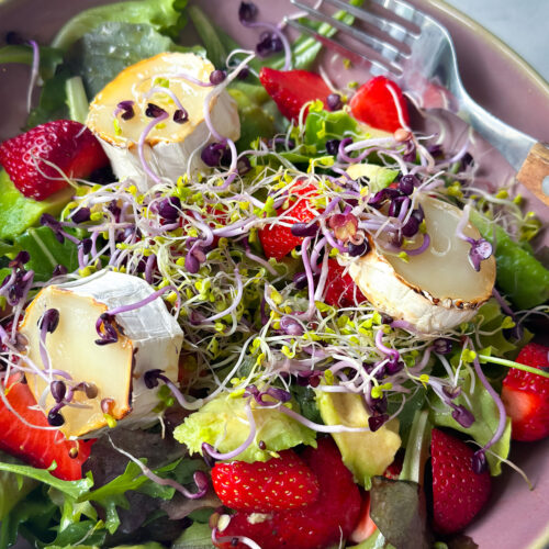 Ziegenkäse Salat