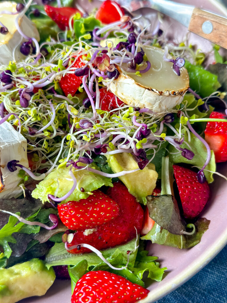 Ziegenkäse auf Salat mit Erdbeeren