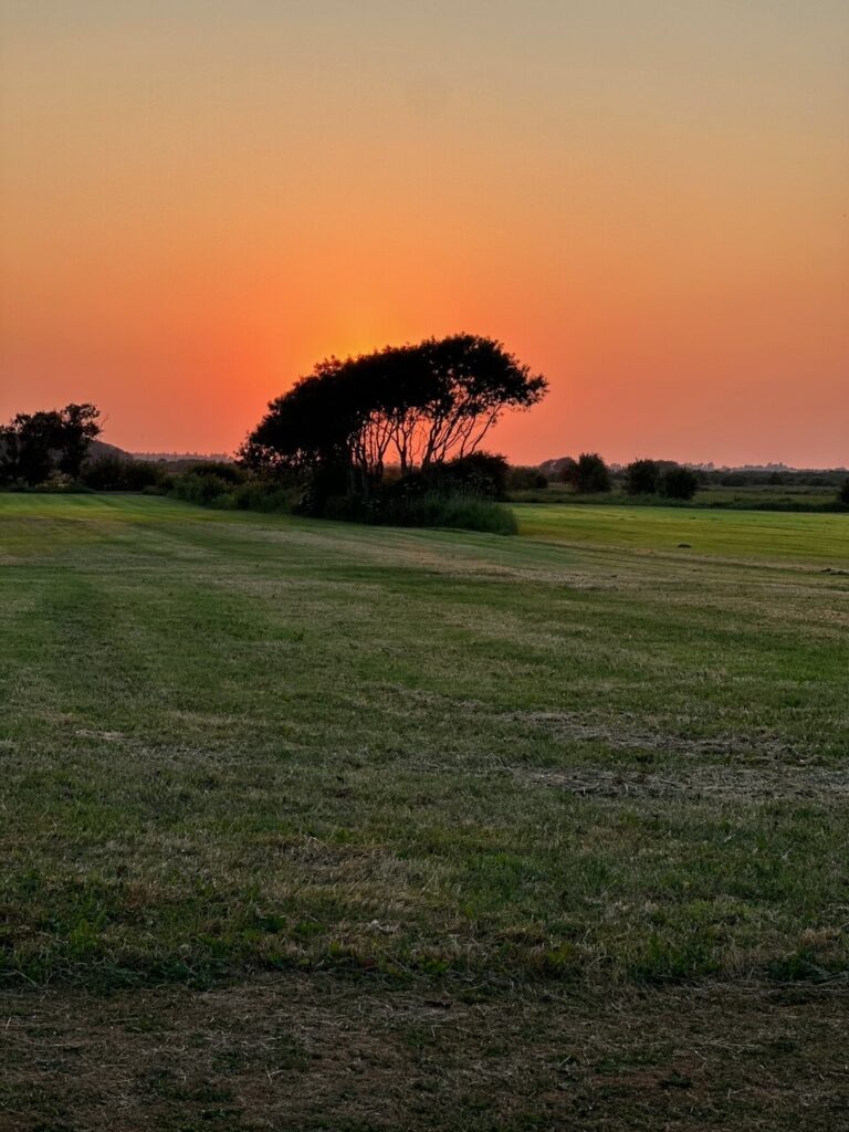 Sonnenuntergänge auf Föhr sind wunderschön