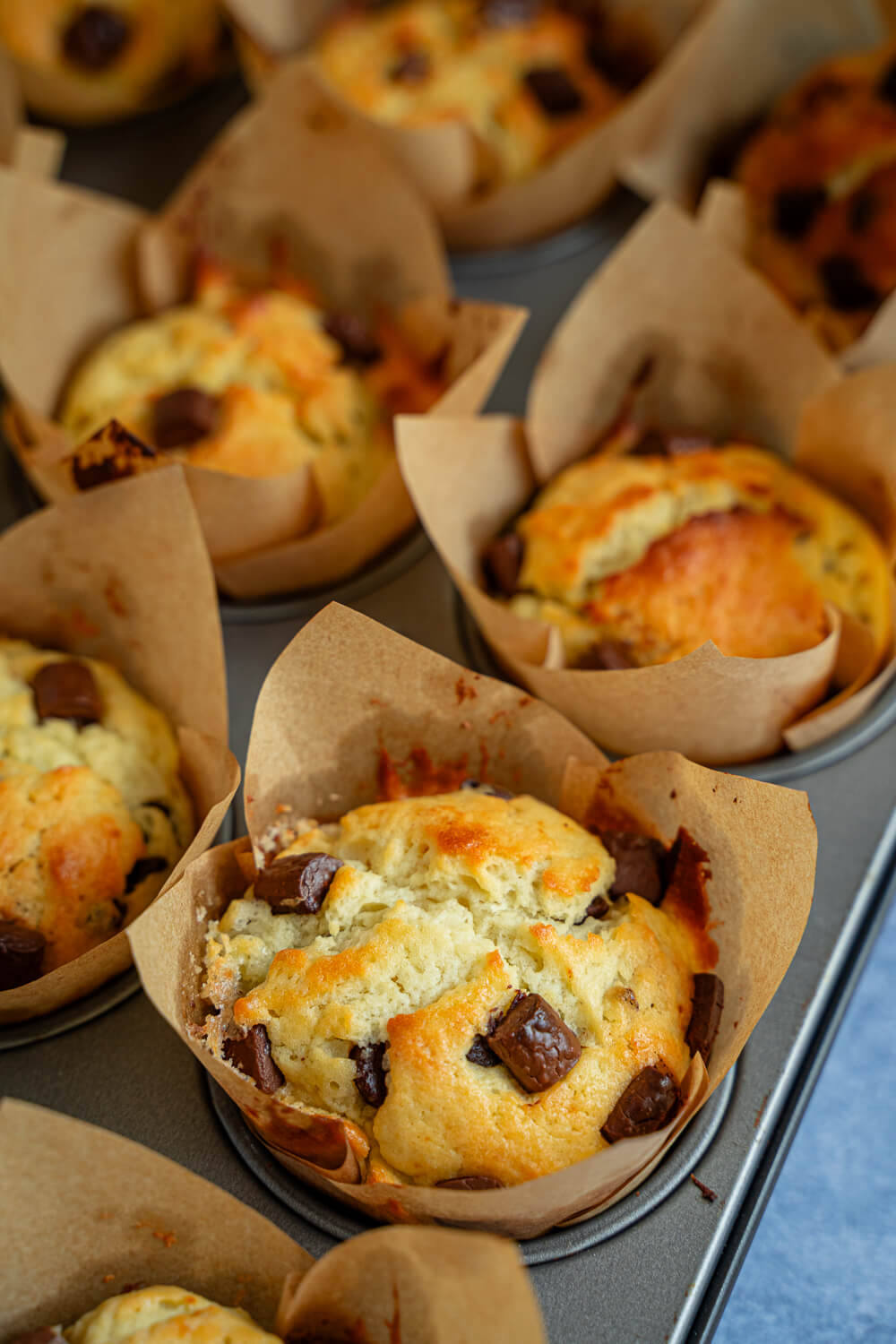 Quark Muffins mit Schokostückchen