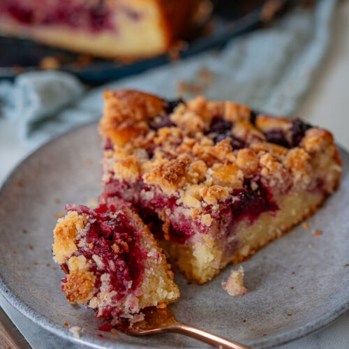 Kirschkuchen mit Kokosstreuseln aus der Springform